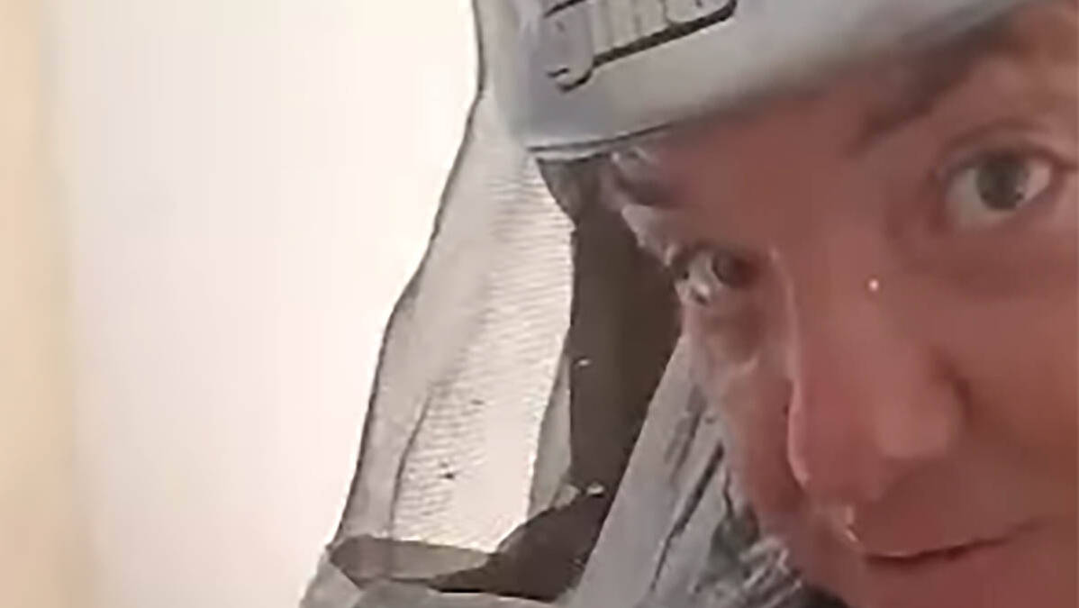 "Samo što se nisu izlegli": Vladica izvukao veliko gnezdo stršljenova iz spavaće sobe kod Beograda