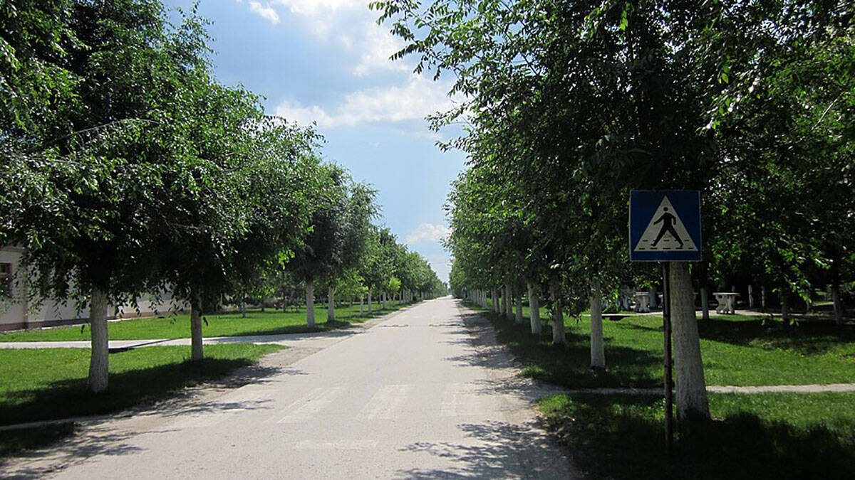 Srpsko selo sa drvoredom kao iz bajke: Ko prođe ispod njega, teško ga zaboravlja (Foto)