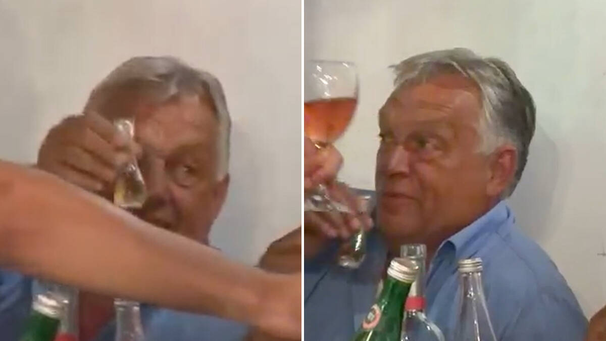 Orban u Guči uživa za sve pare uz domaće specijalitete: Uhvaćen tokom zdravice šljivovicom sa njim (Video)