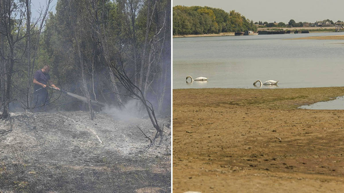 Toplotni talas napravio probleme širom Srbije: Vodostaj na minimumu, bukte požari, a RHMZ najavljuje novi pakleni udar