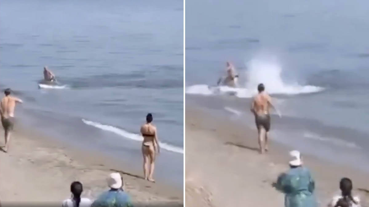 Turistu napala džinovska riba u plićaku: Drama na poznatoj plaži u Španiji, ljudi vrištali zbog krvave vode (Video)