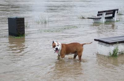Kritični dani pred nama, hitno se oglasio RHMZ: Opasno raste nivo velike reke u Srbiji i to za 5 metara