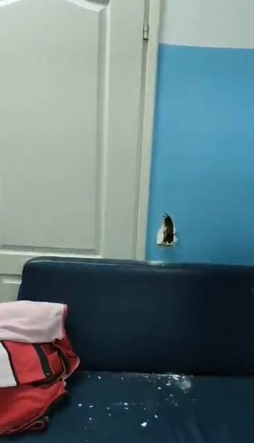 crvena zvezda sudija uros nikolic svlacionica demolirao saopstenje