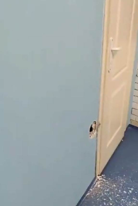 crvena zvezda sudija uros nikolic svlacionica demolirao saopstenje