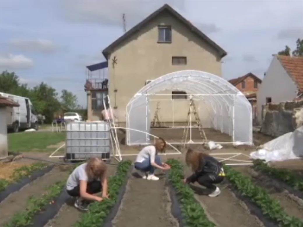 srpska porodica poljoprivreda zene rade sve poslove