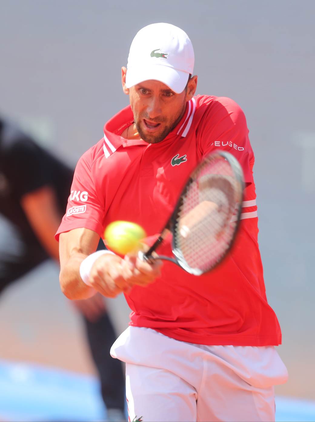 novak djokovic aleks molcan dragan bjelogrlic na mecu