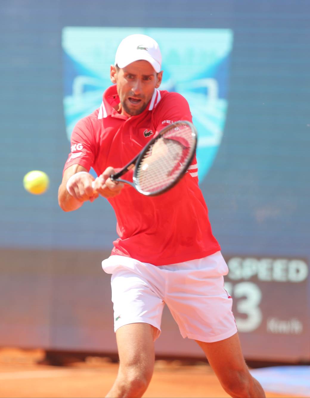 novak djokovic aleks molcan dragan bjelogrlic na mecu