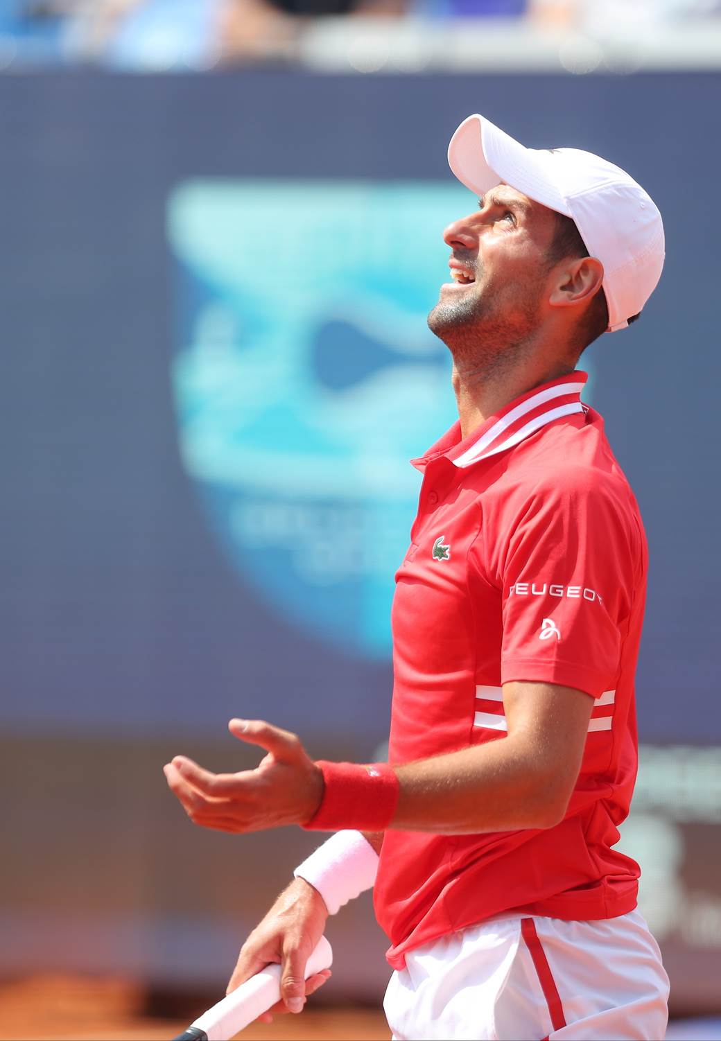 novak djokovic aleks molcan dragan bjelogrlic na mecu