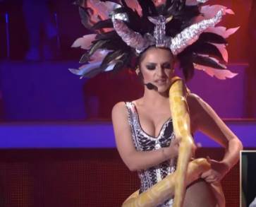 zvezde granda marija gruevska dosla sa zmijom oko struka