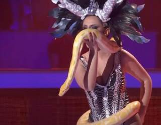 zvezde granda marija gruevska dosla sa zmijom oko struka