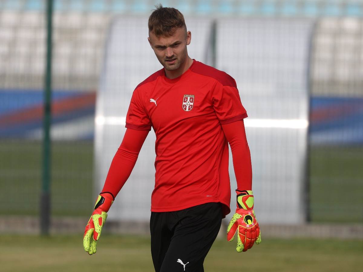 nemanja jovic reprezentacija srbije dragan stojkovic piksi