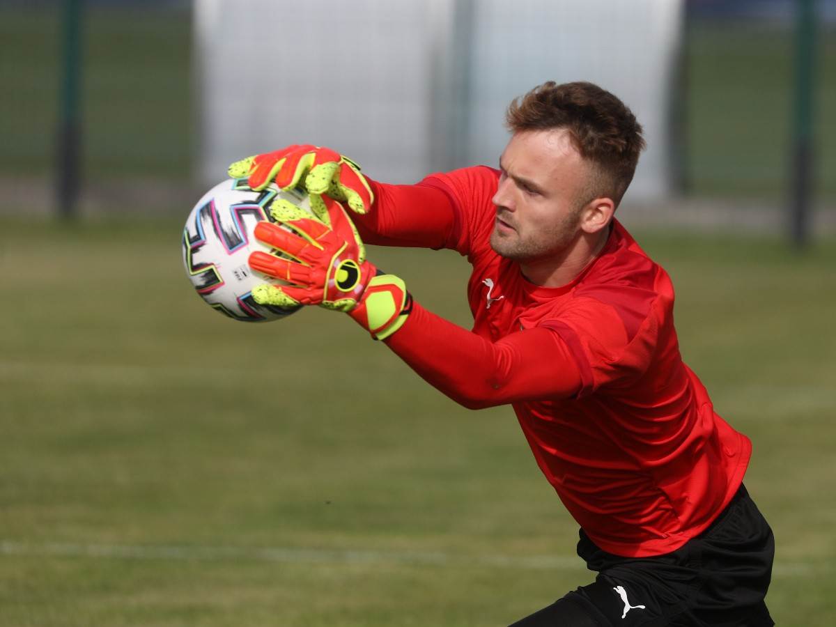 nemanja jovic reprezentacija srbije dragan stojkovic piksi