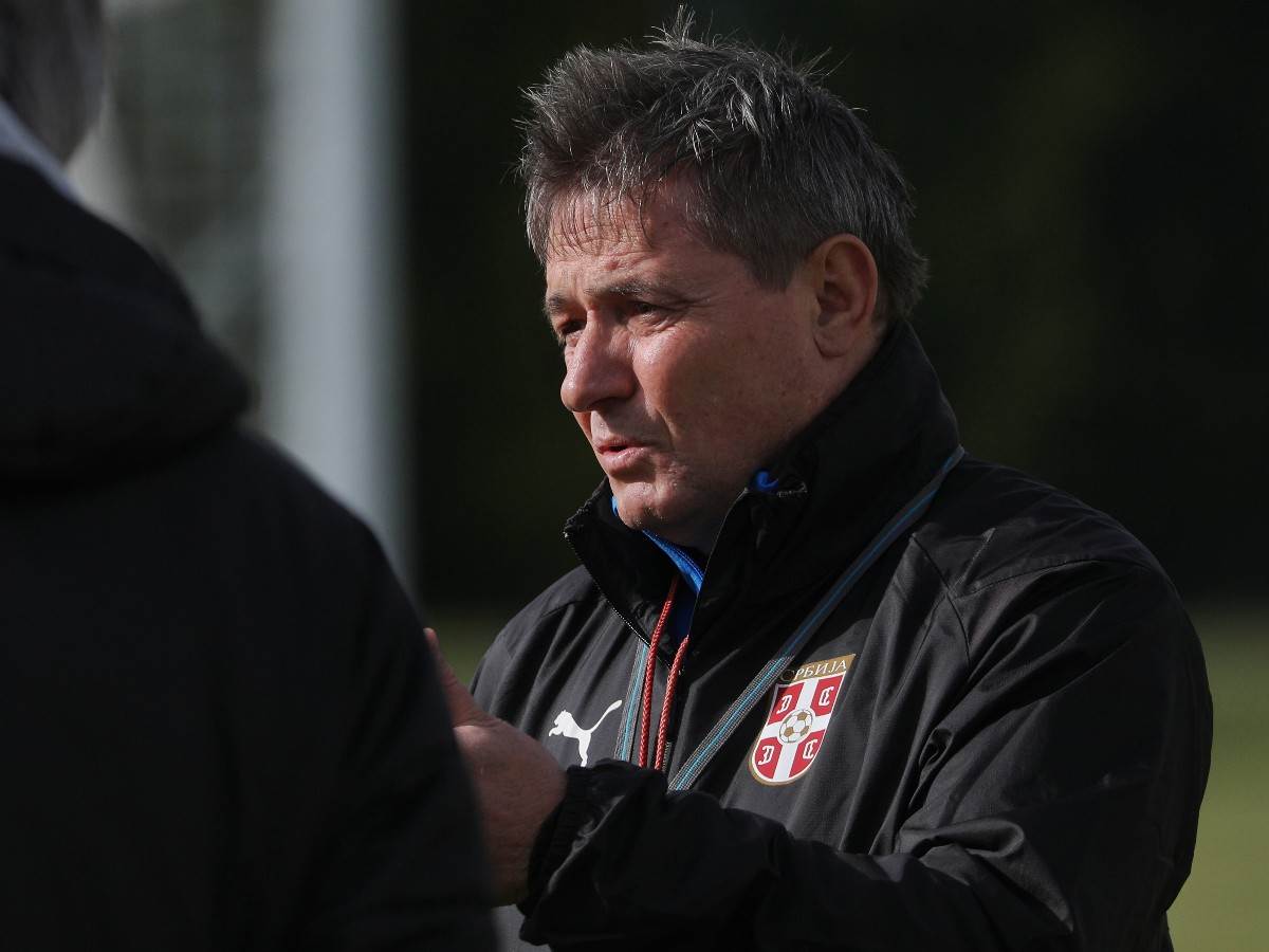 nemanja jovic reprezentacija srbije dragan stojkovic piksi