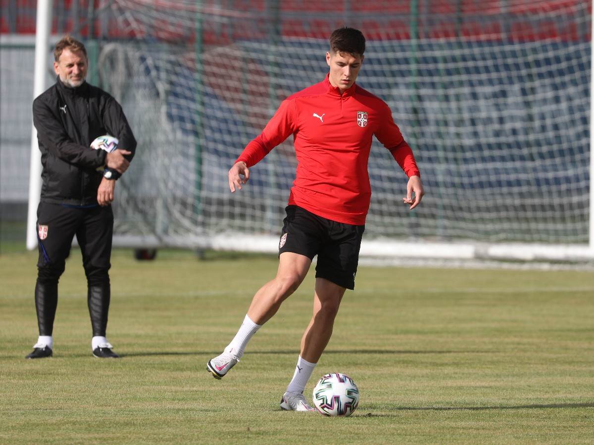 nemanja jovic reprezentacija srbije dragan stojkovic piksi