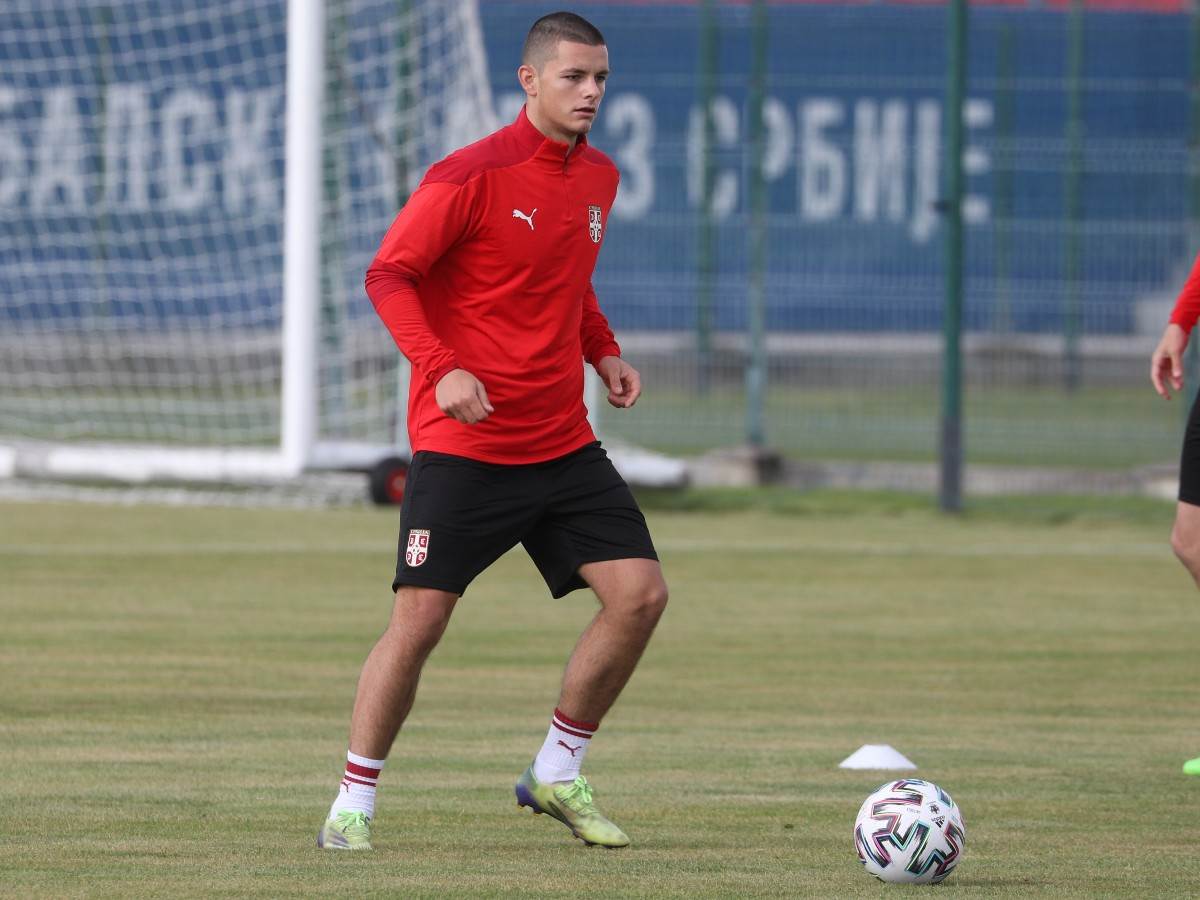 nemanja jovic reprezentacija srbije dragan stojkovic piksi