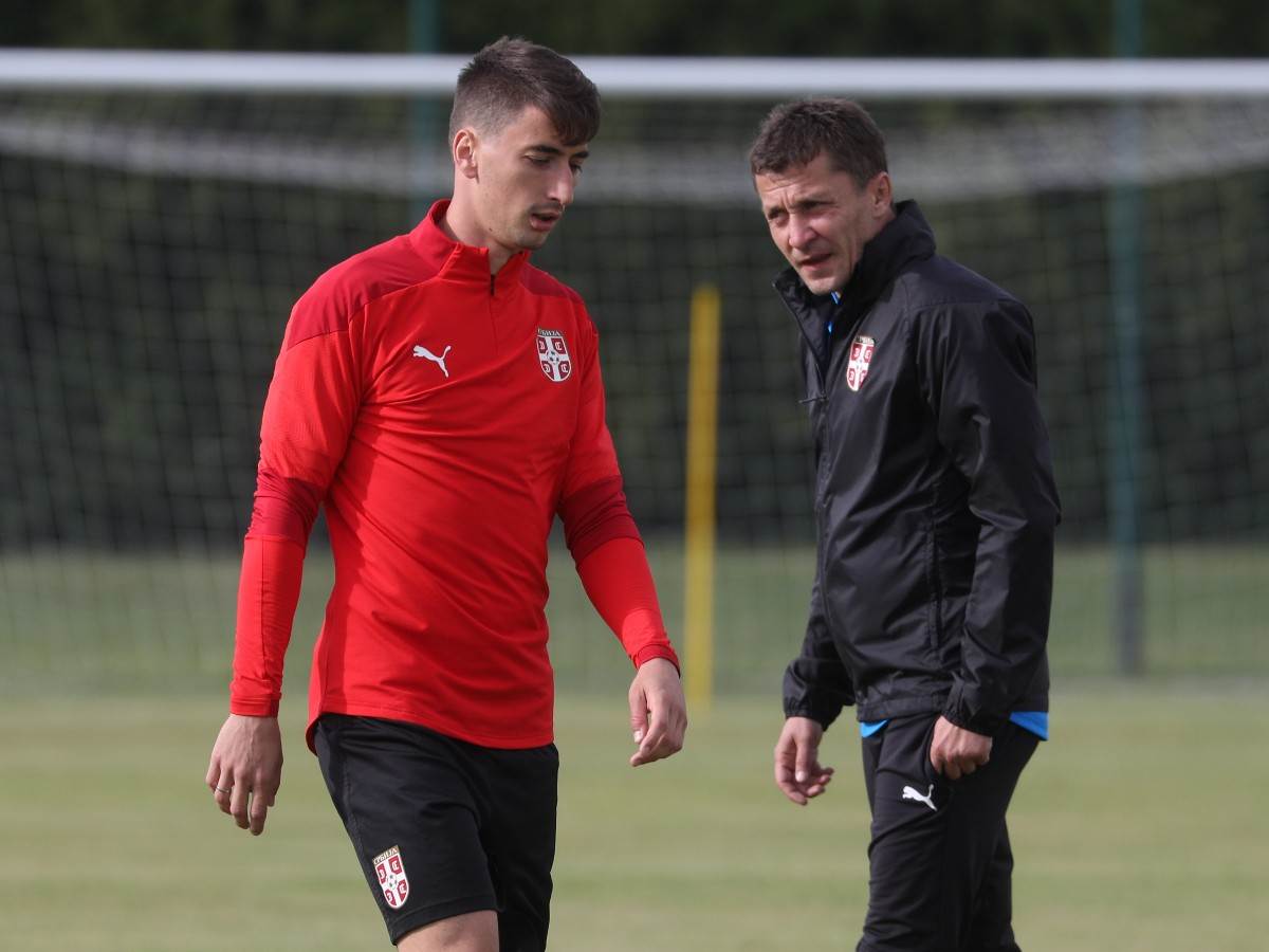 nemanja jovic reprezentacija srbije dragan stojkovic piksi