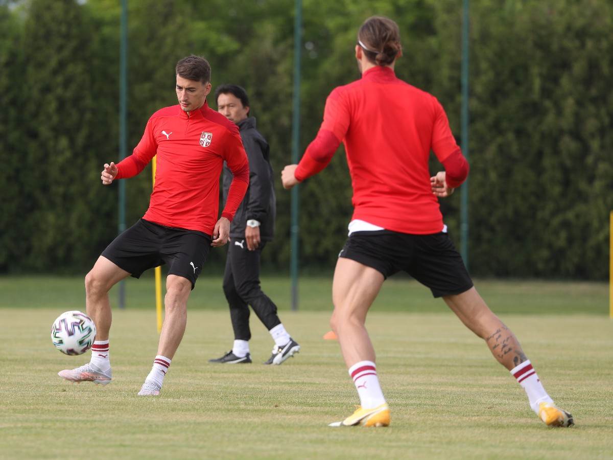 nemanja jovic reprezentacija srbije dragan stojkovic piksi