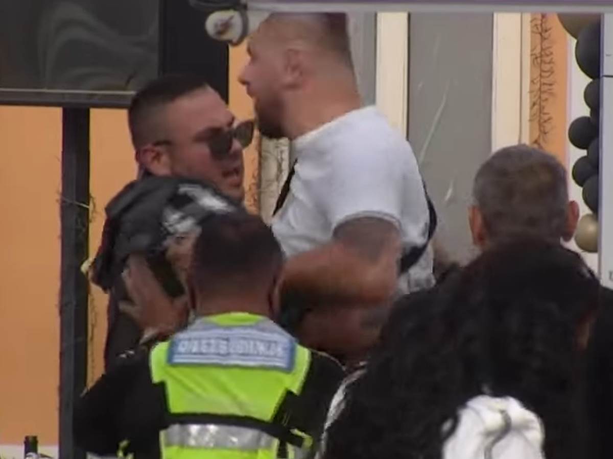 maja samara janjusa zadruga haos