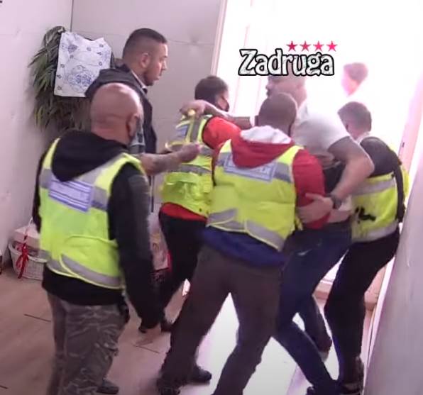 janjus davi maju zadruga video