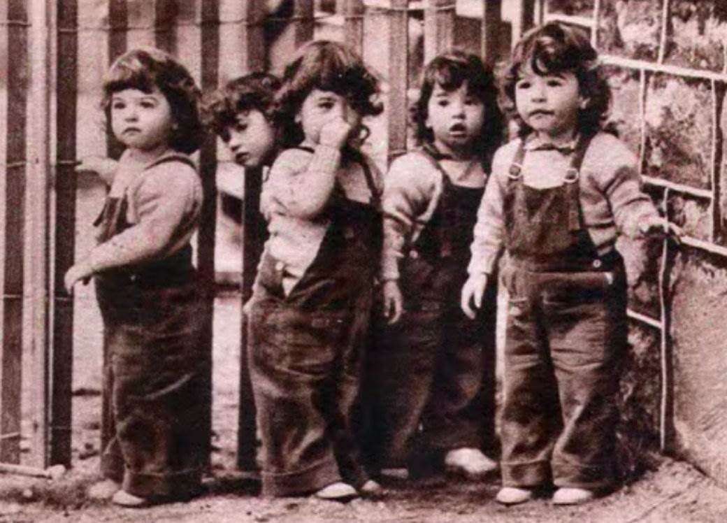 prve petorke na svetu sestre dion kanada