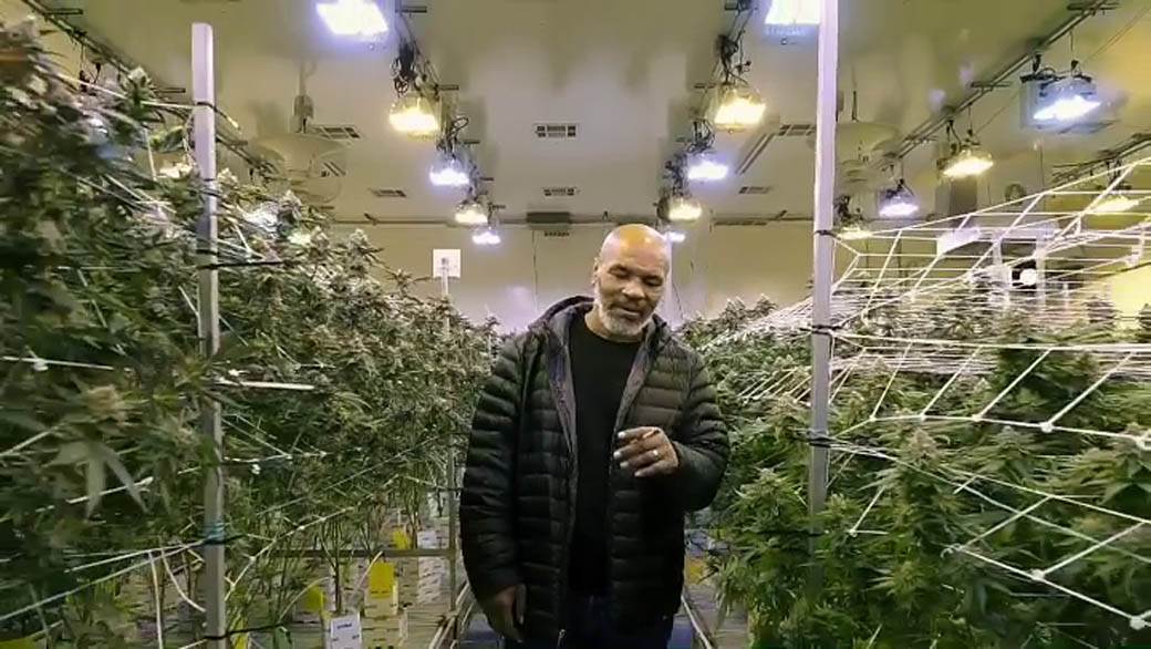 Majk Tajson optužen za silovanje