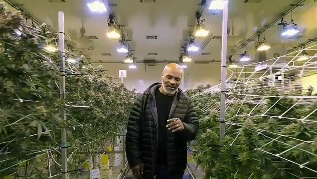 Majk Tajson optužen za silovanje