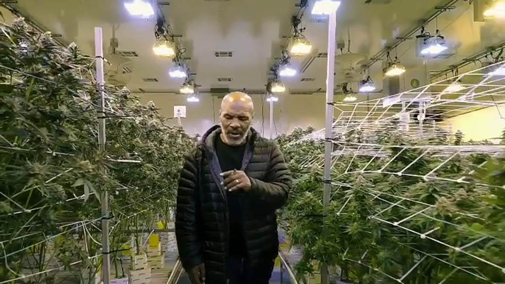 Majk Tajson optužen za silovanje