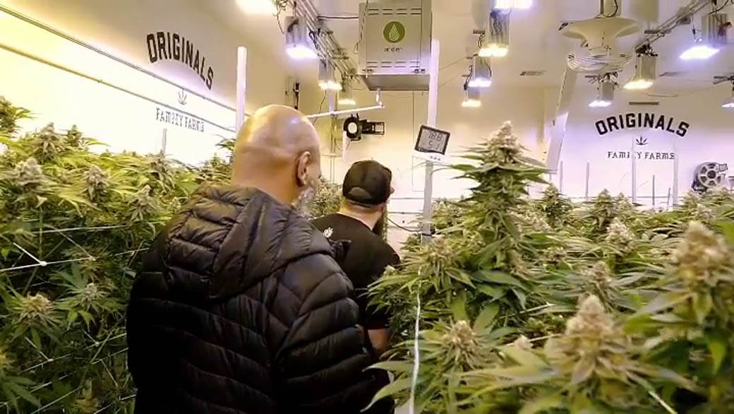 Majk Tajson optužen za silovanje