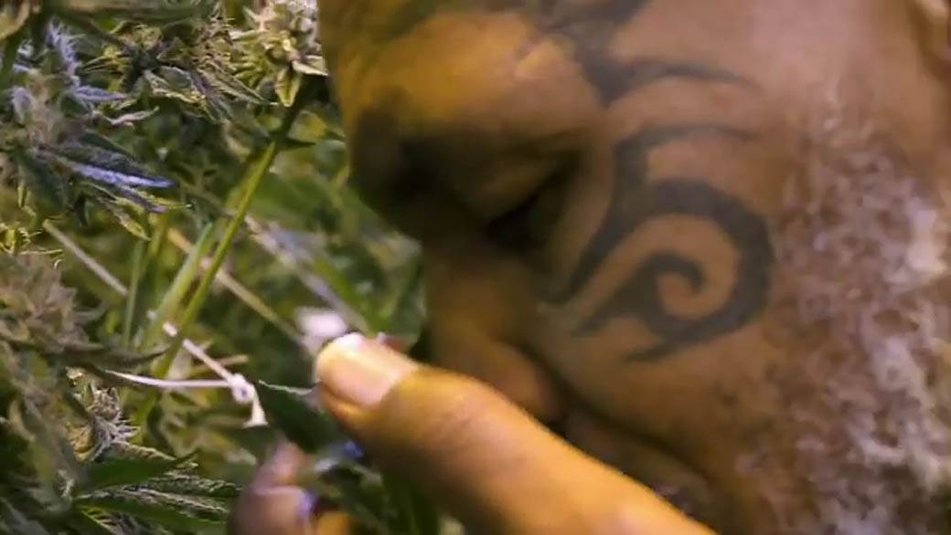 Majk Tajson optužen za silovanje