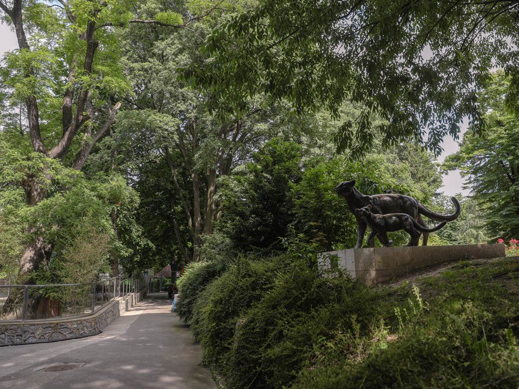 beo zoo vrt zoološki vrt fotografije