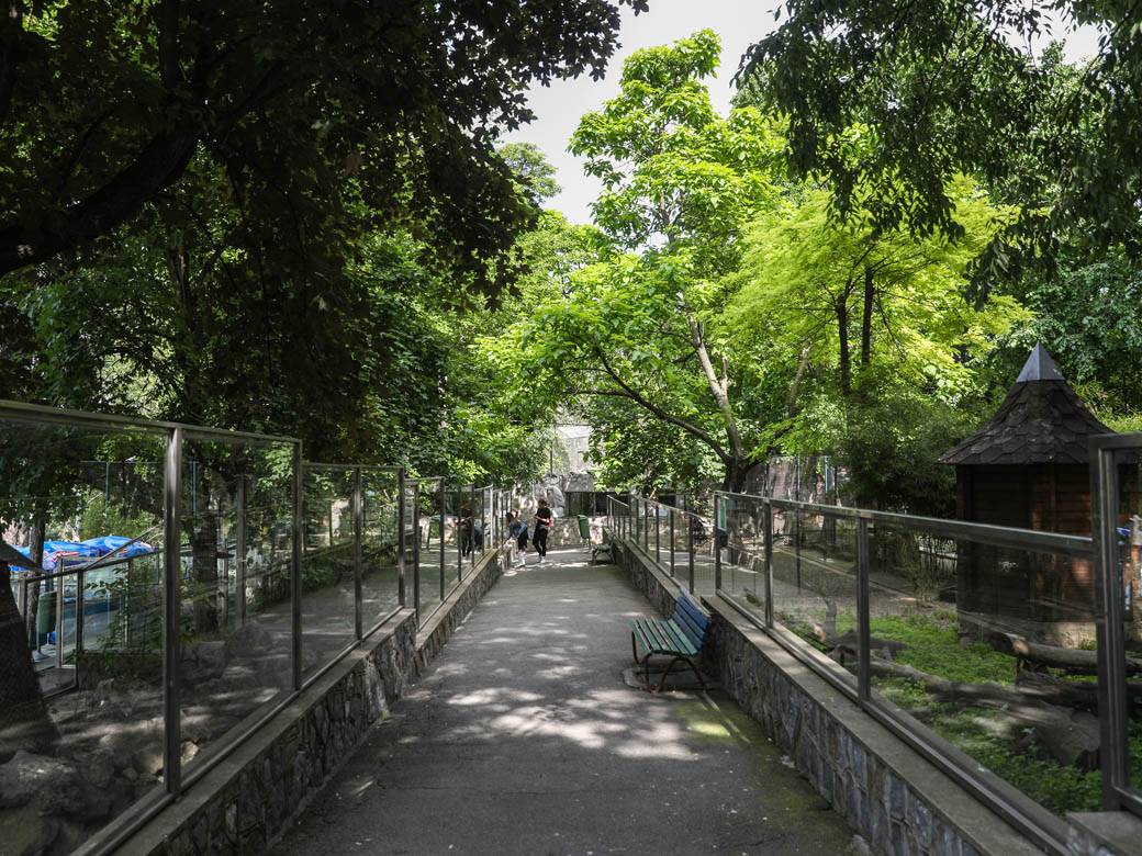 beo zoo vrt zoološki vrt fotografije