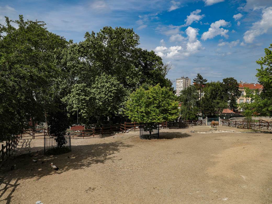 beo zoo vrt zoološki vrt fotografije