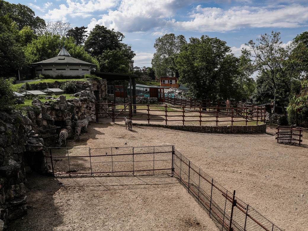 beo zoo vrt zoološki vrt fotografije