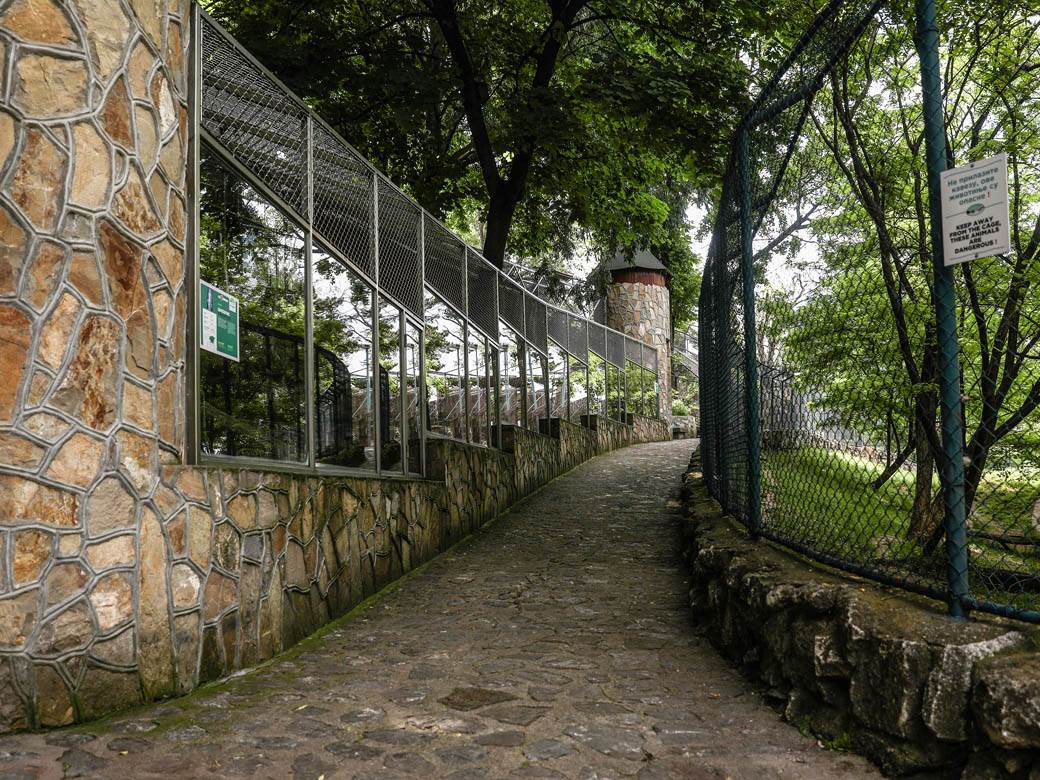 beo zoo vrt zoološki vrt fotografije