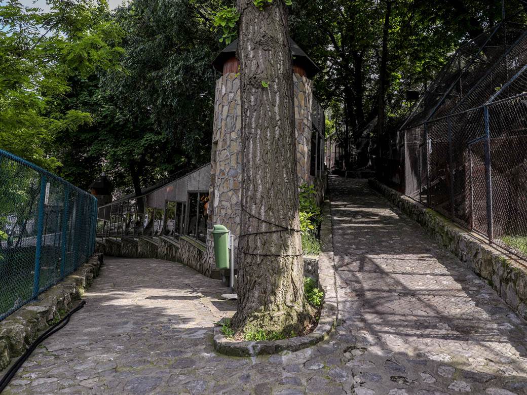 beo zoo vrt zoološki vrt fotografije