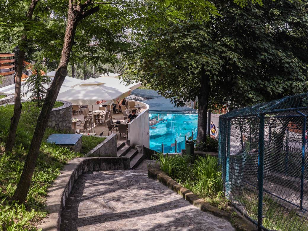 beo zoo vrt zoološki vrt fotografije