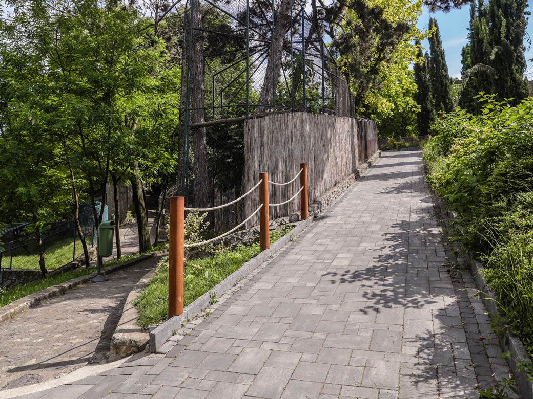 beo zoo vrt zoološki vrt fotografije