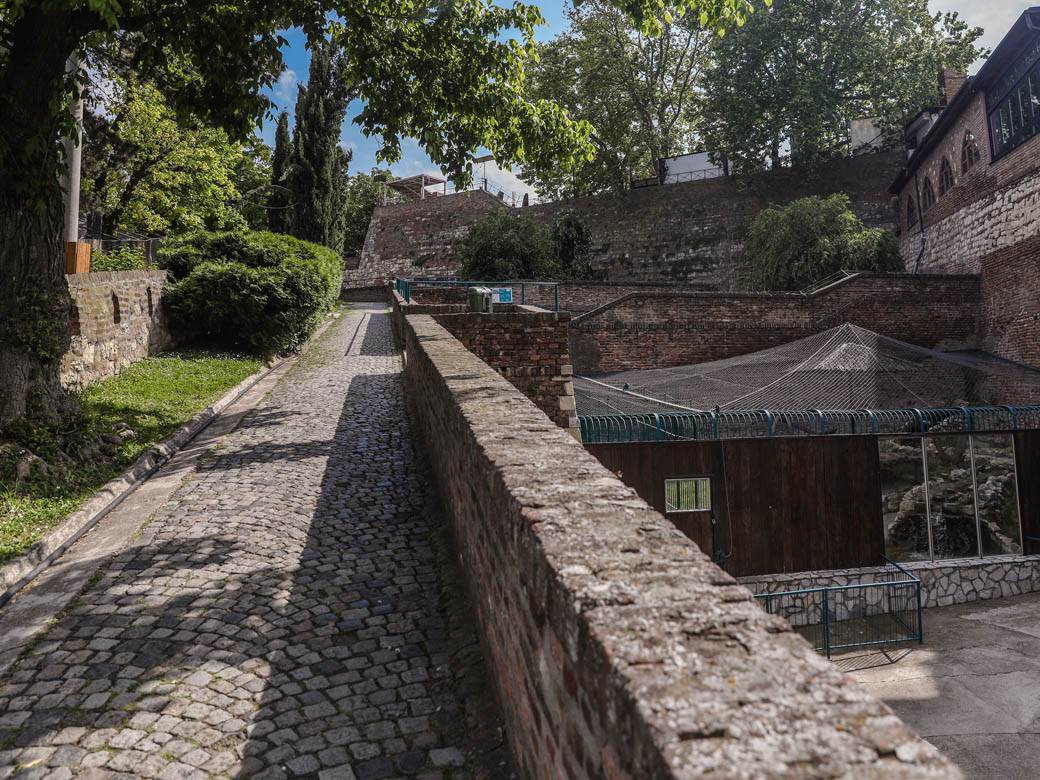 beo zoo vrt zoološki vrt fotografije