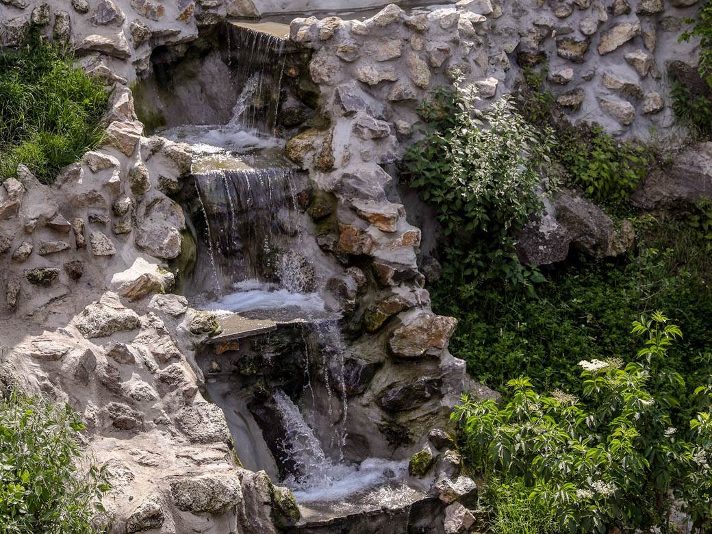 beo zoo vrt zoološki vrt fotografije