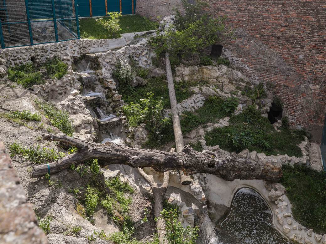 beo zoo vrt zoološki vrt fotografije