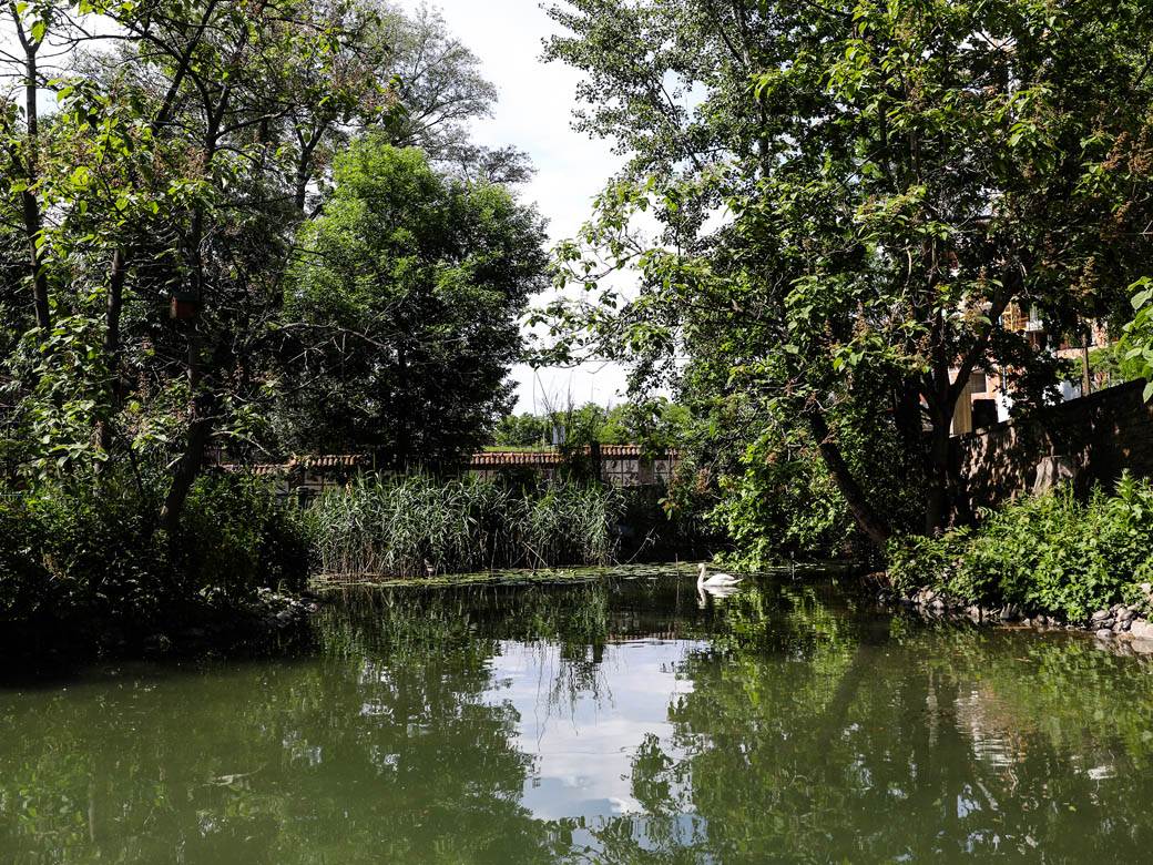 beo zoo vrt zoološki vrt fotografije