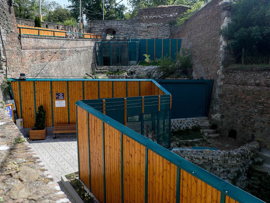 beo zoo vrt zoološki vrt fotografije