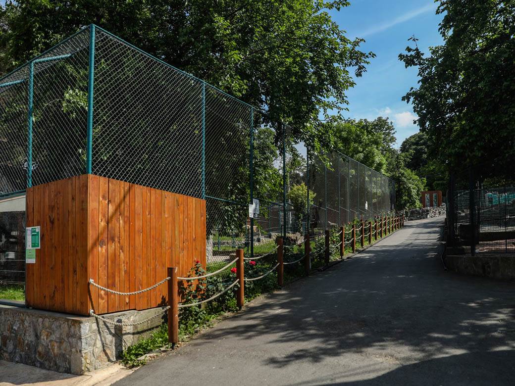 beo zoo vrt zoološki vrt fotografije