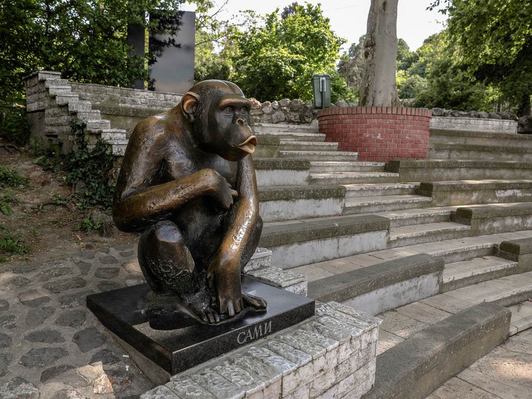 beo zoo vrt zoološki vrt fotografije