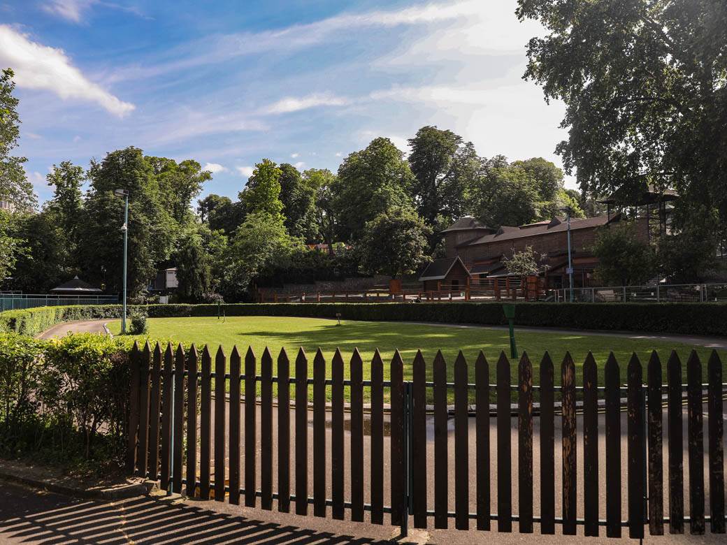 beo zoo vrt zoološki vrt fotografije