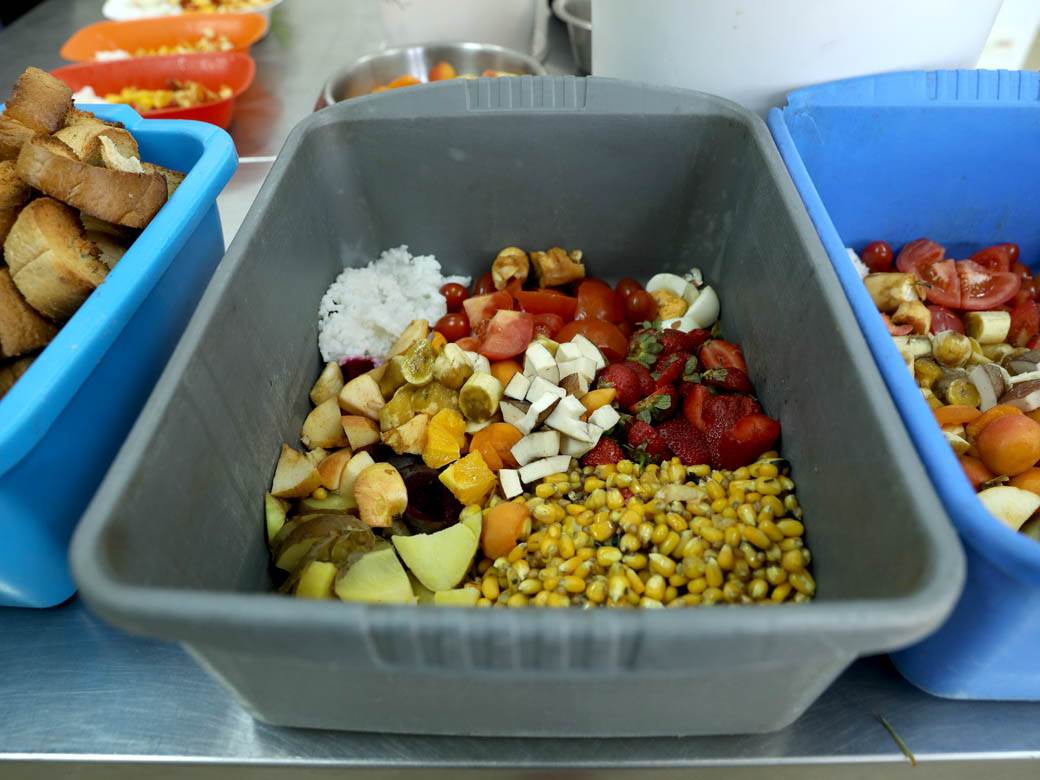 zooloski vrt hranjenje zivotinja