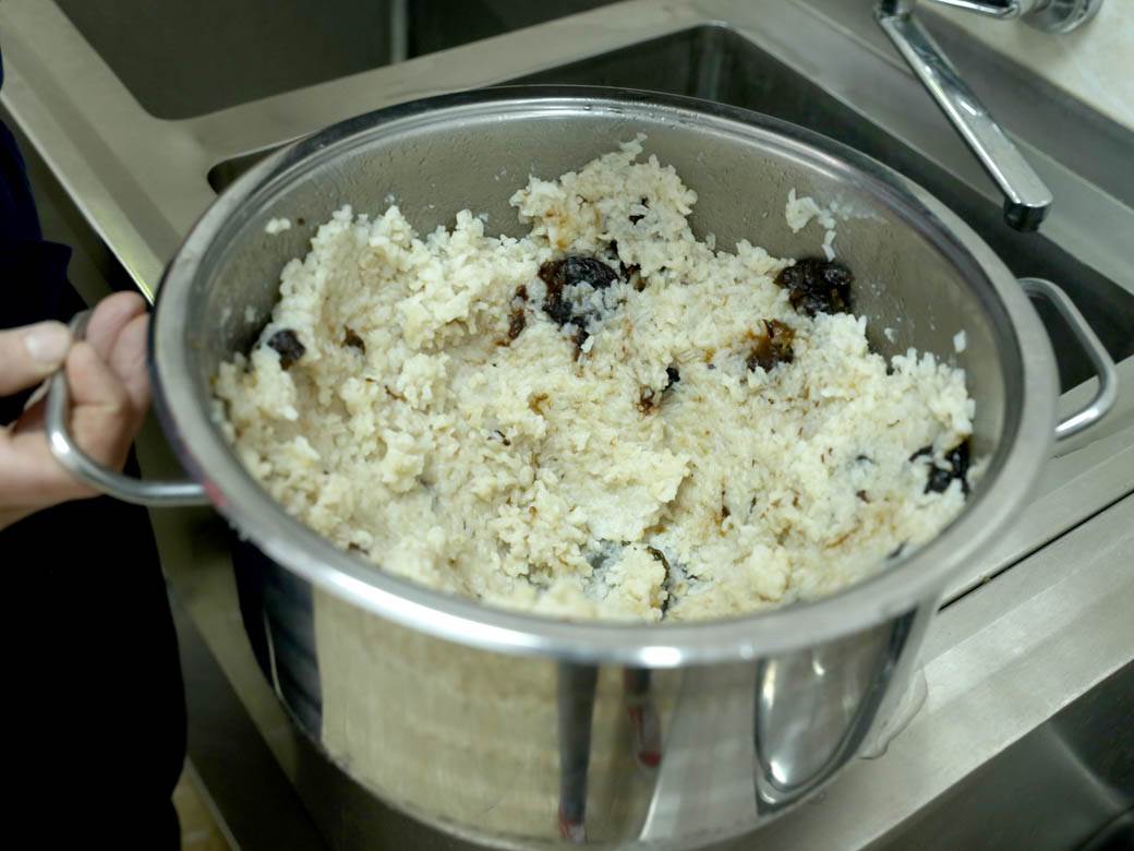 zooloski vrt hranjenje zivotinja