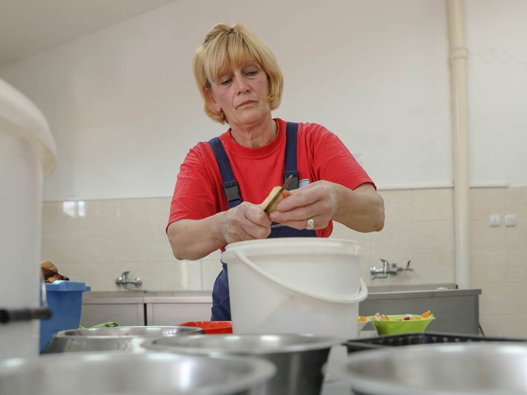 zooloski vrt hranjenje zivotinja