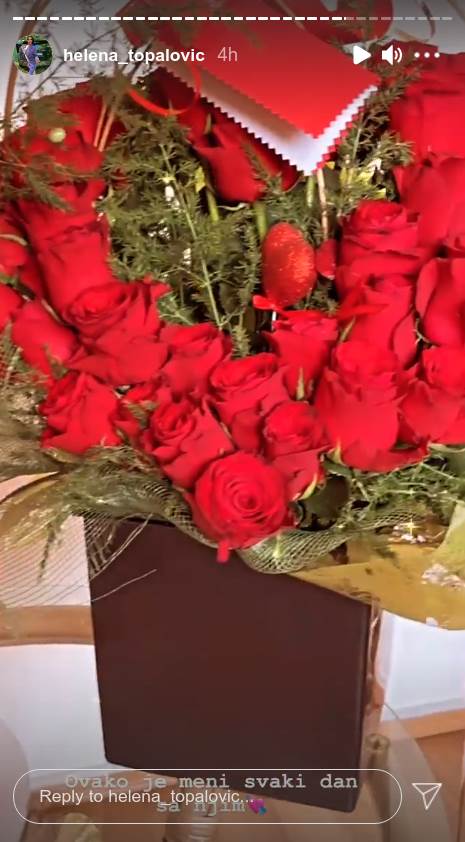 helena topalovic rodjendan instagram foto