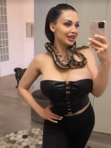 aleta ousn silikoni zmija 